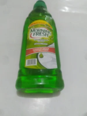 Morning Fresh Liquid B/s